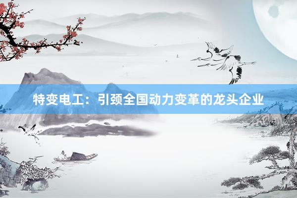 特变电工：引颈全国动力变革的龙头企业